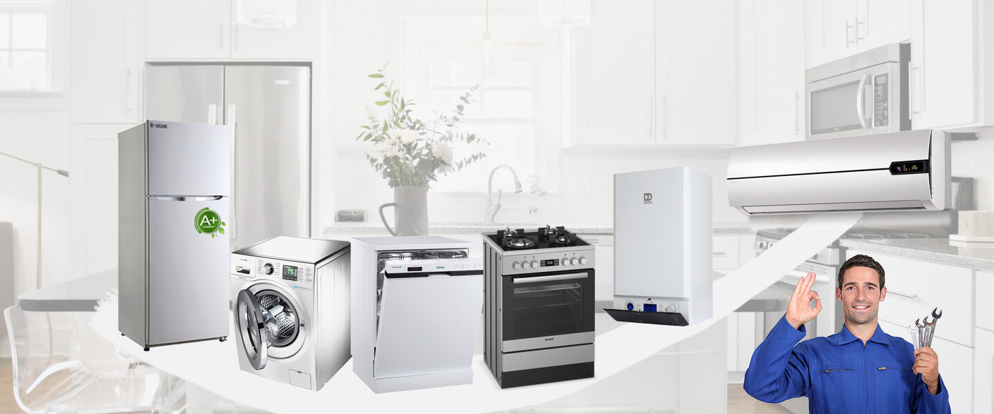 Vize Gorenje Servisi